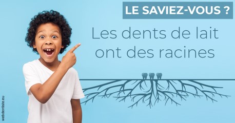 https://dr-samuel-lefevre.chirurgiens-dentistes.fr/Les dents de lait 2