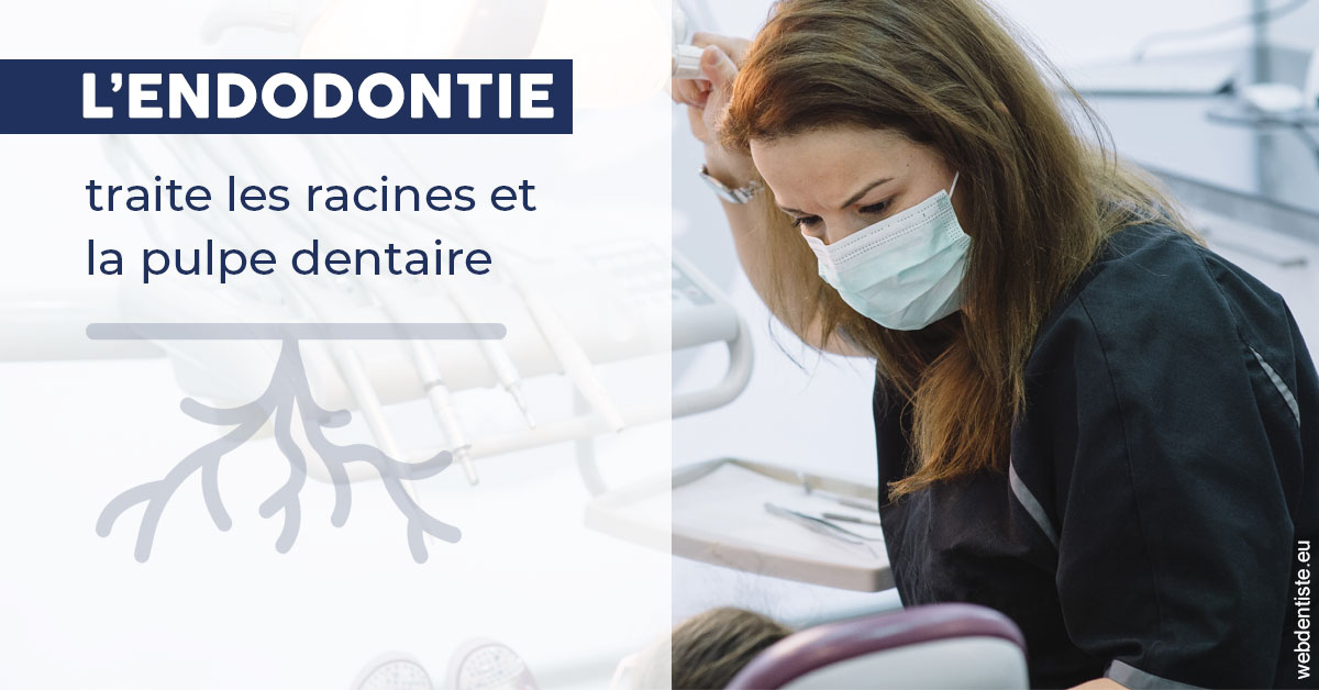 https://dr-samuel-lefevre.chirurgiens-dentistes.fr/L'endodontie 1