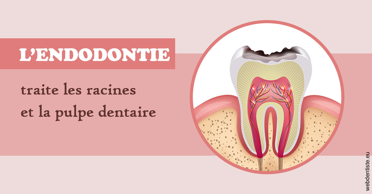https://dr-samuel-lefevre.chirurgiens-dentistes.fr/L'endodontie 2