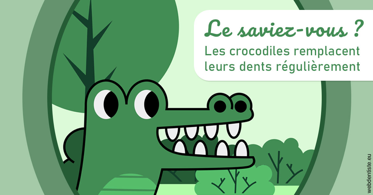 https://dr-samuel-lefevre.chirurgiens-dentistes.fr/Crocodiles 2